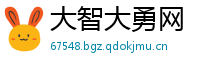 大智大勇网